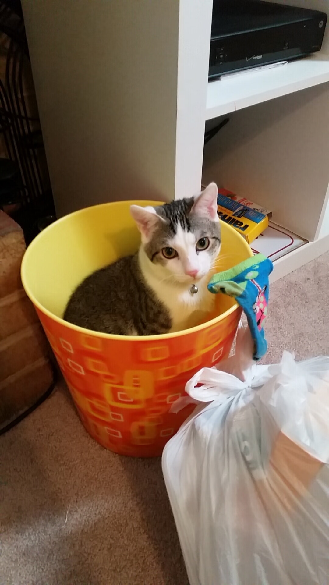 乐鱼体育登录入口-新闻中心签署战略框架合作协议，新闻中心签署战略框架合作协议有效吗