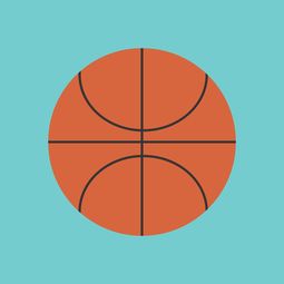 乐鱼体育登录入口-篮球专项体能训练中的运动损伤风险管理，篮球专项体能训练应注意的问题