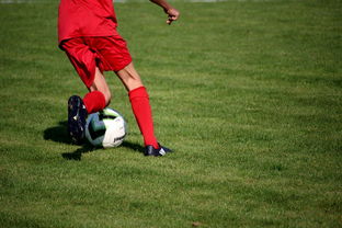 乐鱼体育app官方入口-篮球运动员专项技能训练课程体系创新探索，篮球专项训练方案