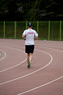 乐鱼体育在线下载-篮球专项技能训练负荷调节与效果评估研究，基础阶段篮球训练负荷安排