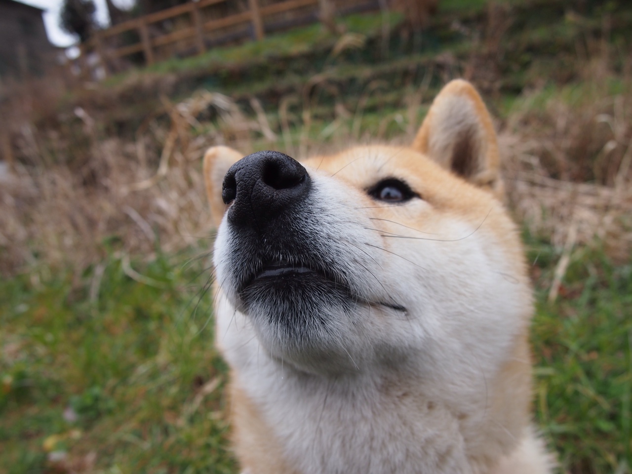 MVP竞争白热化数据与战绩全面分析，mvp竞争白热化数据与战绩全面分析怎么写