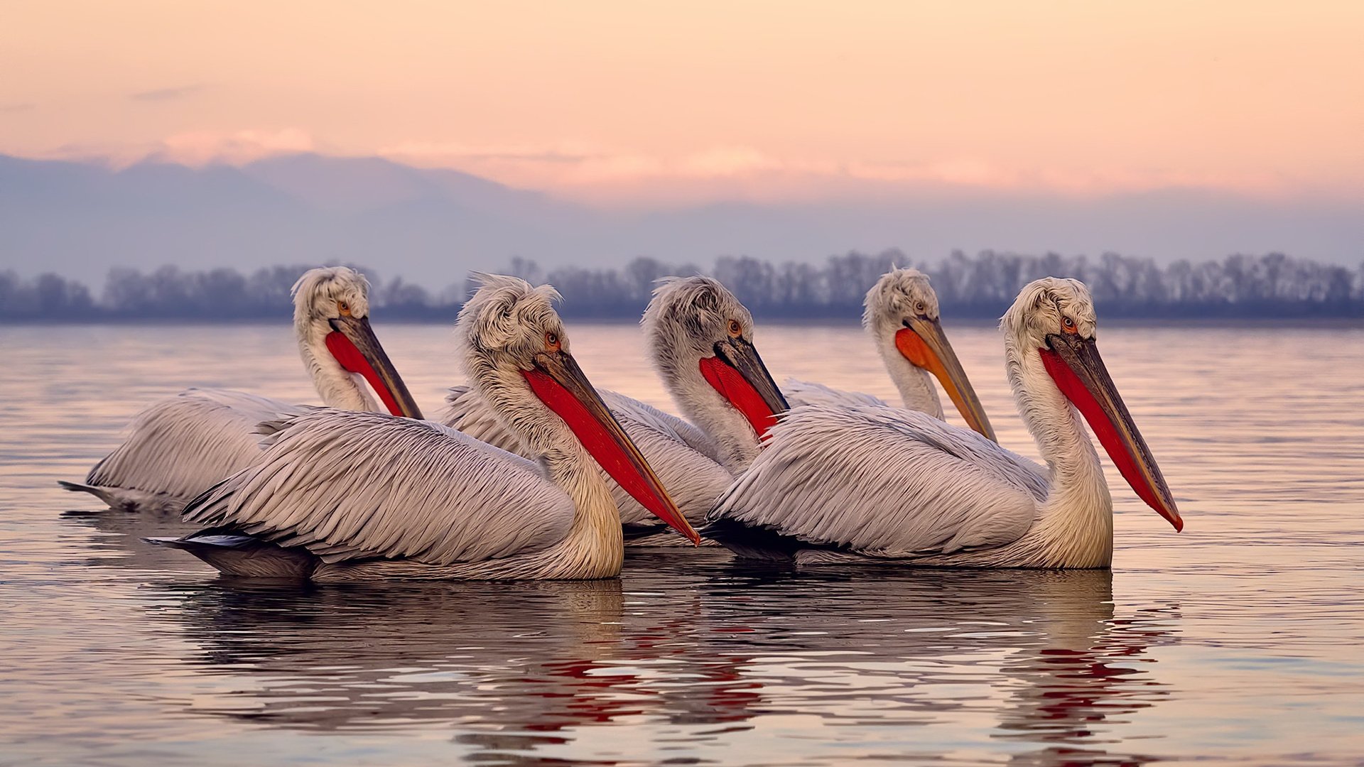 中超联赛国足惨败 技术复盘指出不足，国足打中超方案详情