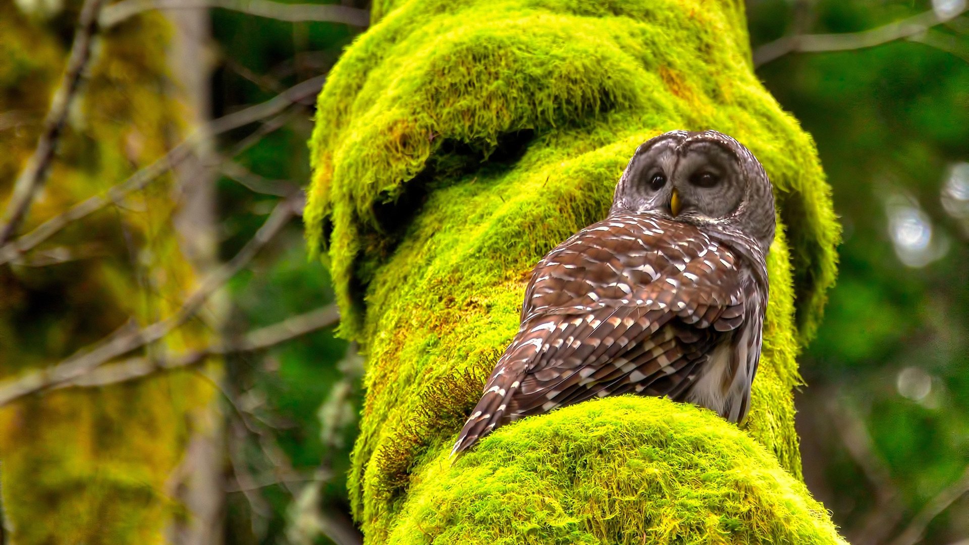 体育新闻中心开展体育短视频创作技能提升培训，如何制作体育短视频