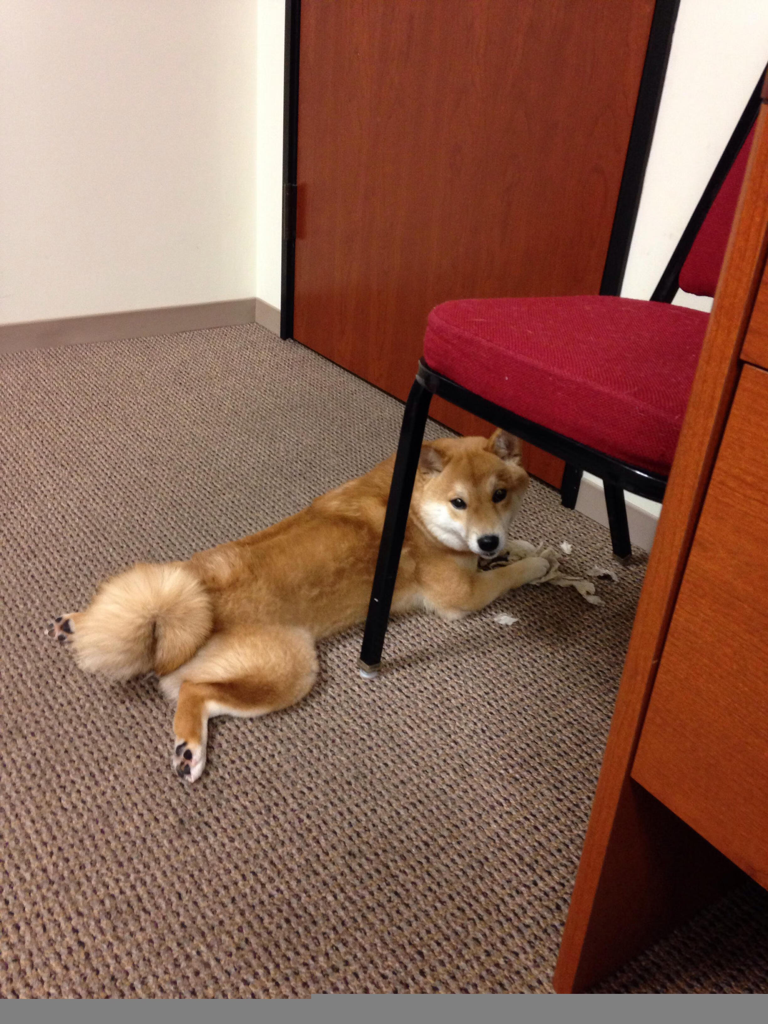 乐鱼体育app网址-全民健身路径建设结合公园绿地资源，全民健身路径配置原则