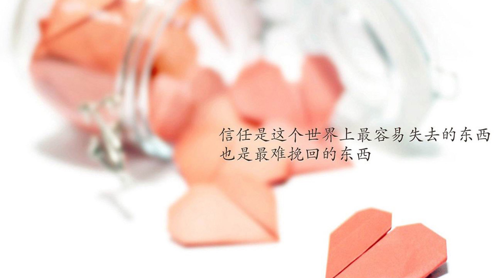 外教与本土文化冲突明显,纯外教和中外教对比