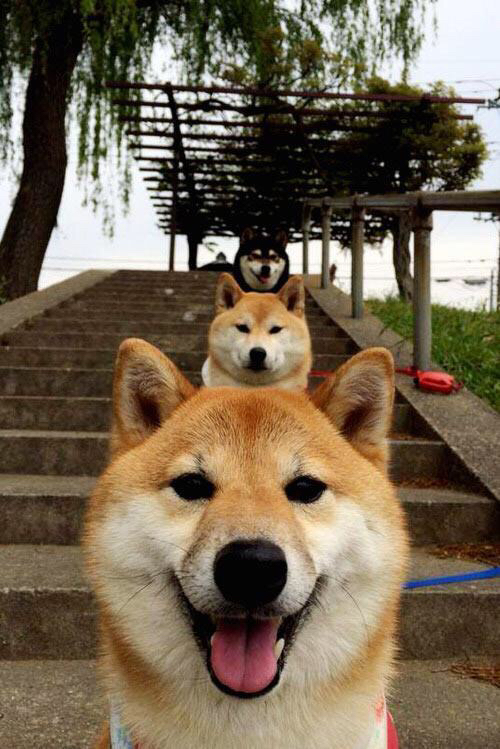 詹姆斯谈生涯未来 我还没完成,詹姆斯赛后_我已准备好迎接挑战了