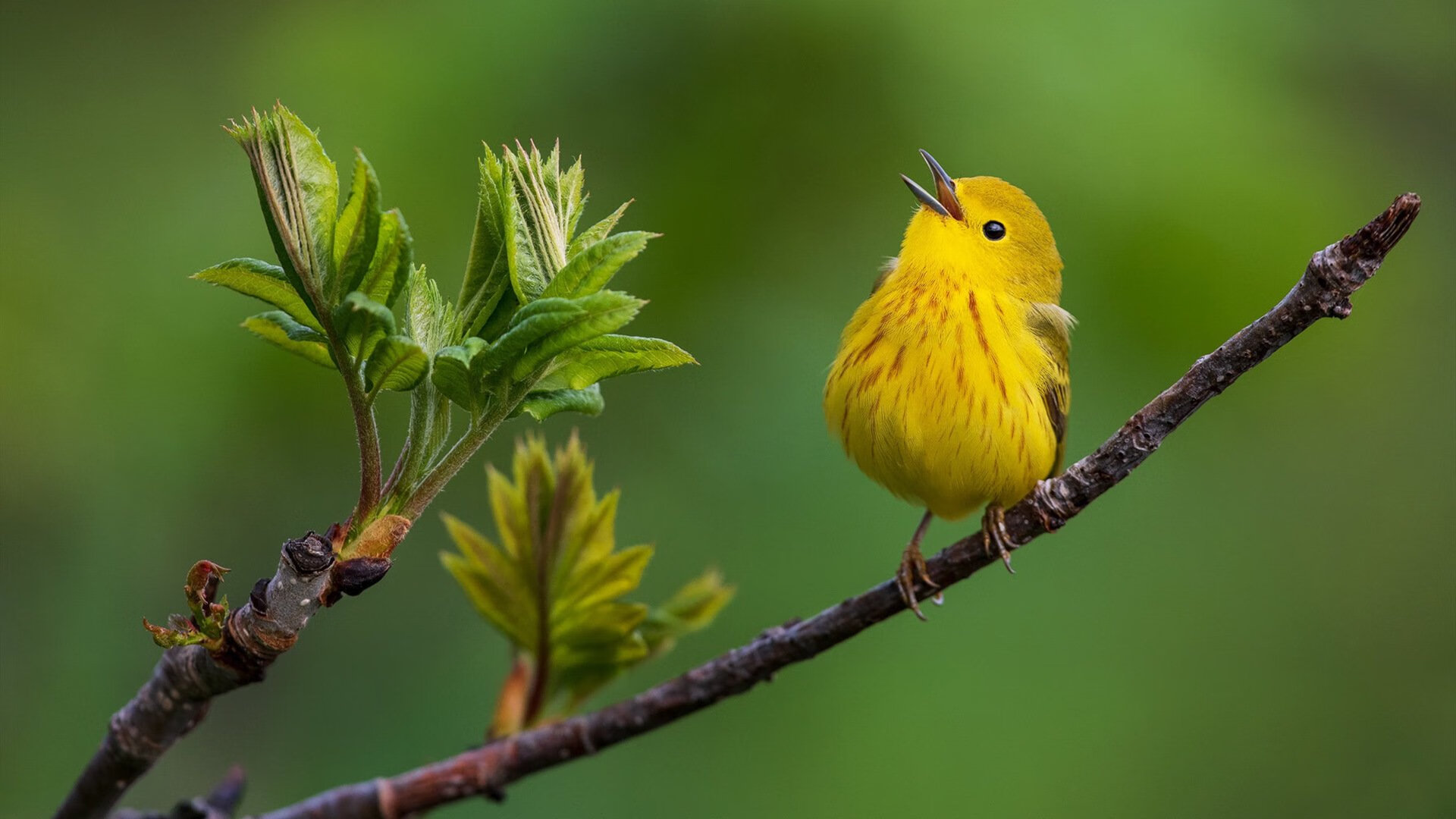 乐鱼体育app下载地址-中国足球国际合作项目推进推动资源共享和技术交流，中国足协合作品牌