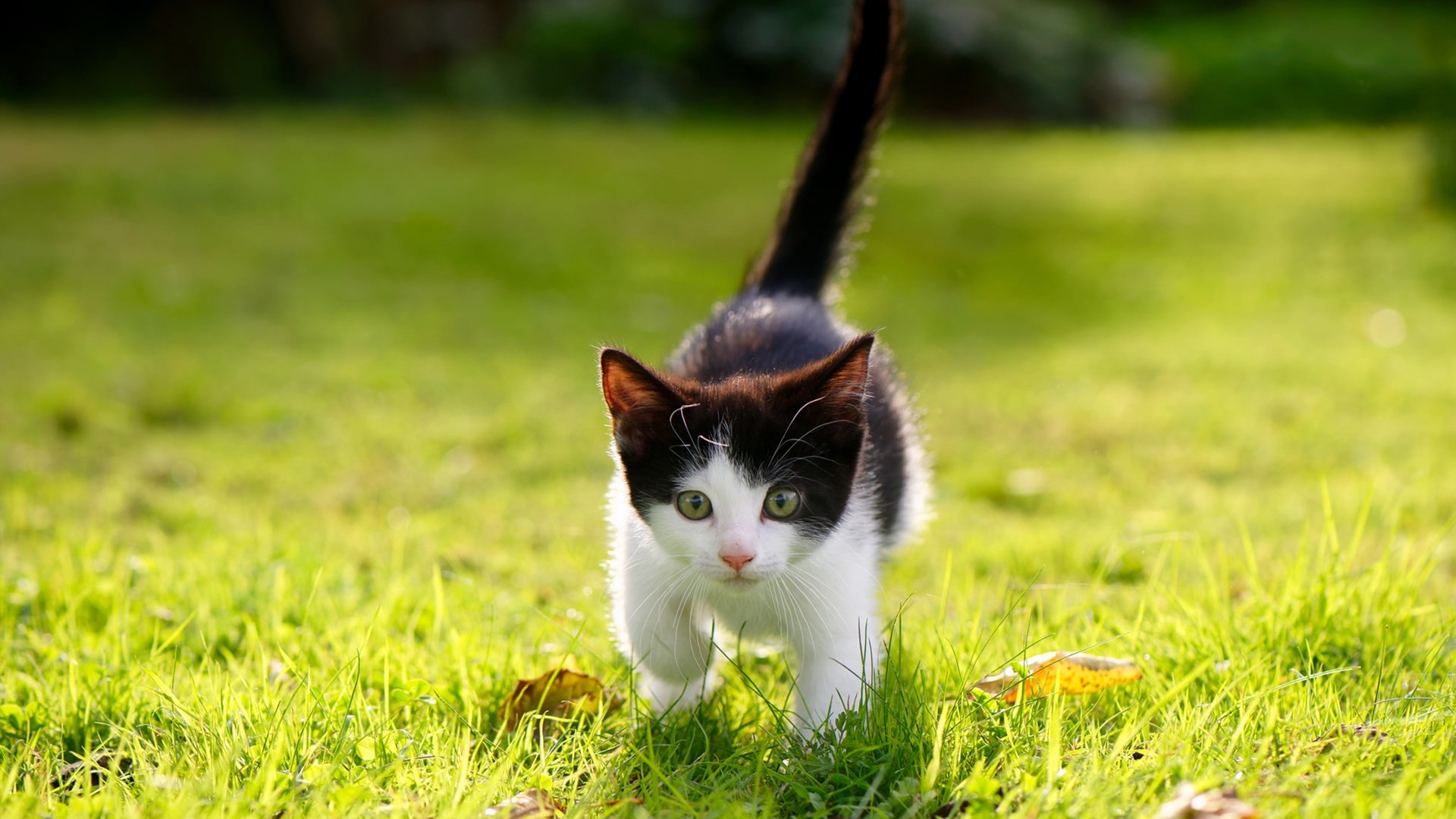 乔治谈战术多样性对季后赛走得更远有帮助,乔治的防守有多好