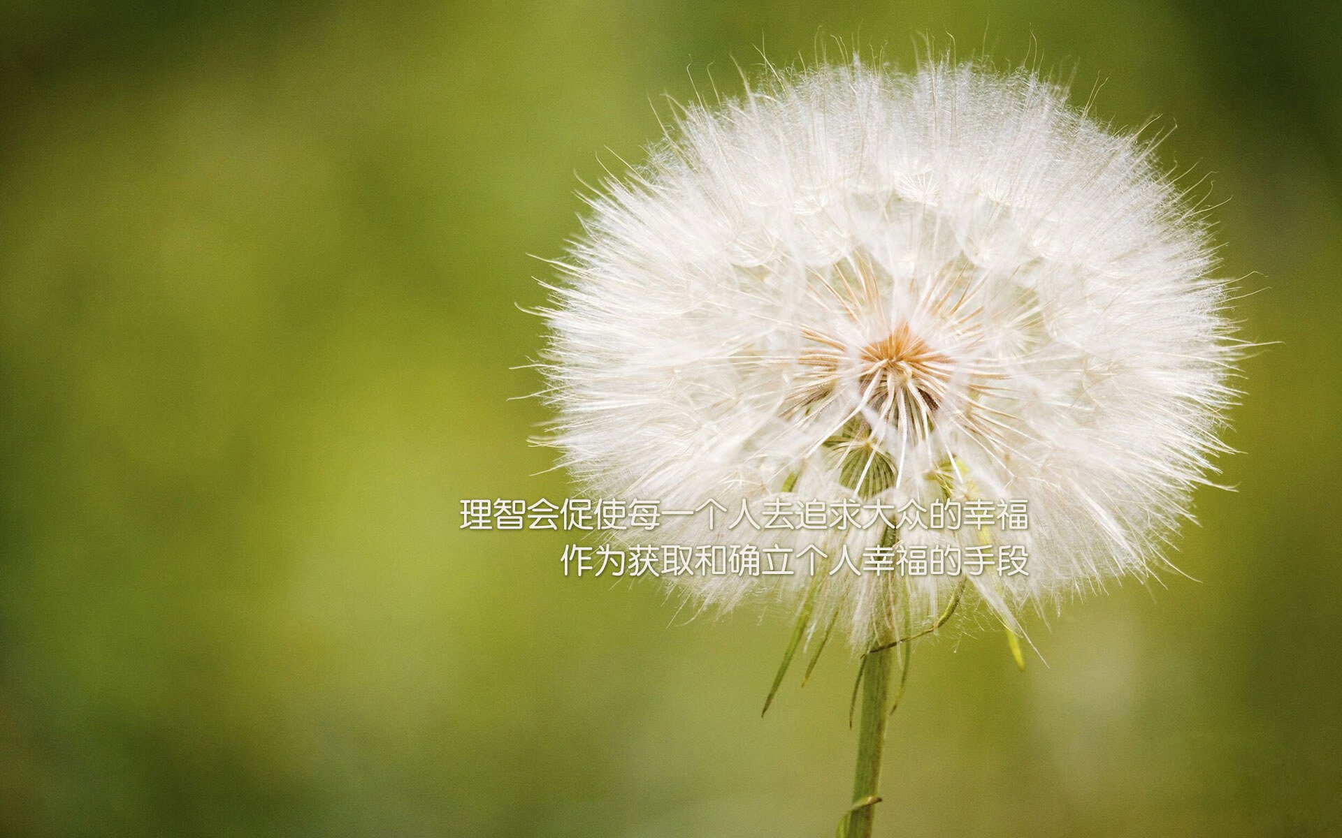 凯恩·瑞安：用出色的防守和灵活的进攻开创全黑队新局面，凯恩we